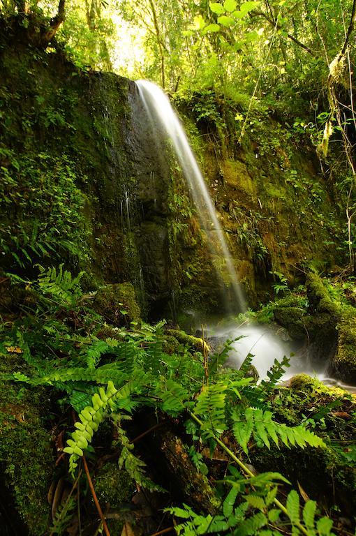 Yucuma Lodgeエル・ソベルビオ エクステリア 写真