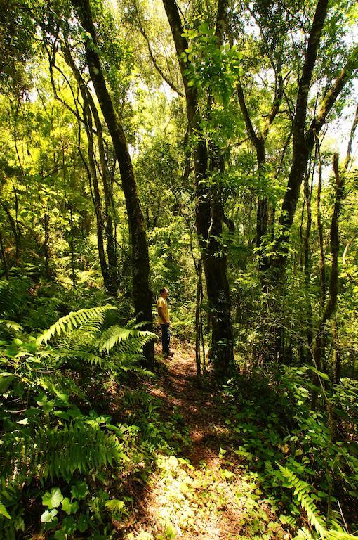 Yucuma Lodgeエル・ソベルビオ エクステリア 写真