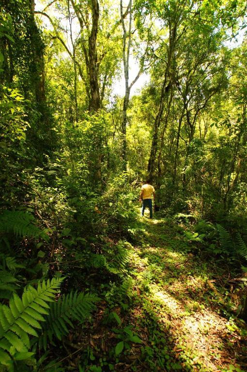 Yucuma Lodgeエル・ソベルビオ エクステリア 写真